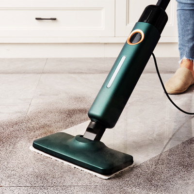 Hot Sale Steam Vacuum Cleaner (1)_副本